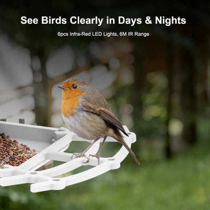 FeatherView™ Bird Feeder Cam