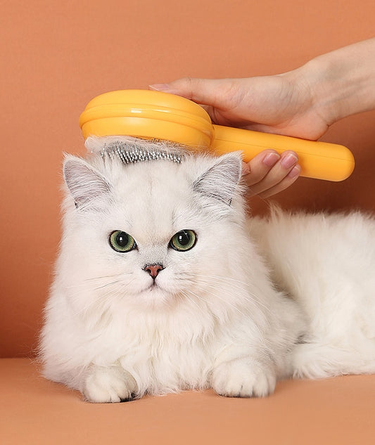 Pet Hair Cleaner Brush